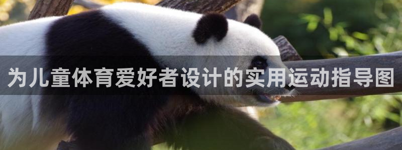 oety欧亿：为儿童体育爱好者设计的实用运动指导图