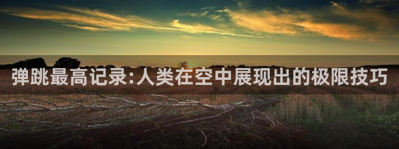 oety欧亿：弹跳最高记录:人类在空中展现出的极限技巧