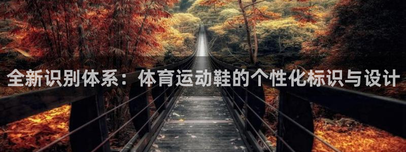 oety欧亿：全新识别体系：体育运动鞋的个性化标识与设计