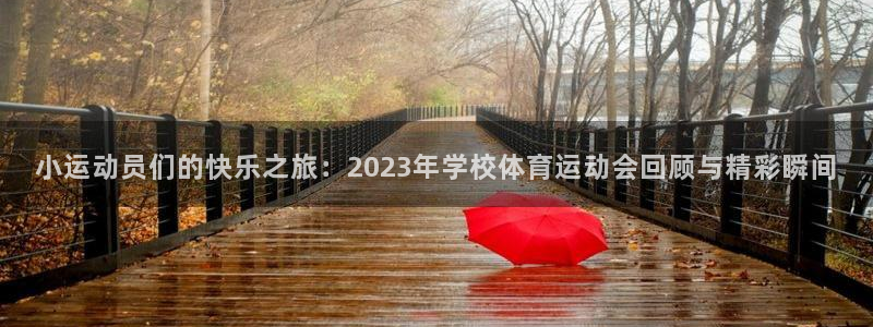 oety欧亿：小运动员们的快乐之旅：2023年学校体育运动会回顾与精彩瞬间