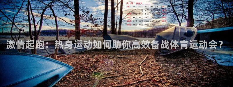 oety欧亿：激情起跑：热身运动如何助你高效备战体育运动会？