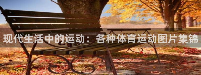 oety欧亿：现代生活中的运动：各种体育运动图片集锦