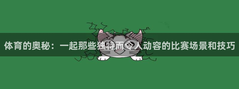 oety欧亿：体育的奥秘：一起那些独特而令人动容的比赛场景和技巧