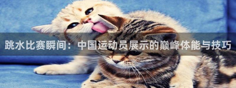 oety欧亿：跳水比赛瞬间：中国运动员展示的巅峰体能与技巧